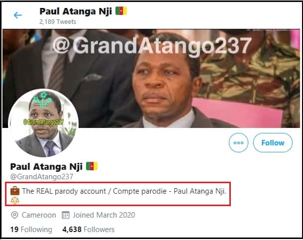 Paul Atanga Nji cameroon minister parody twitter