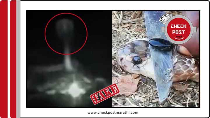 Nagmani rare video found near Kailash Mansarovar viral video is fake check post marathi fact