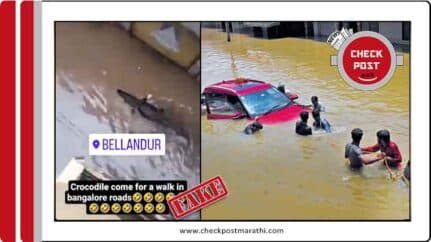 Crockodile in bengluru flood water clips are fake checkpost marathi fact